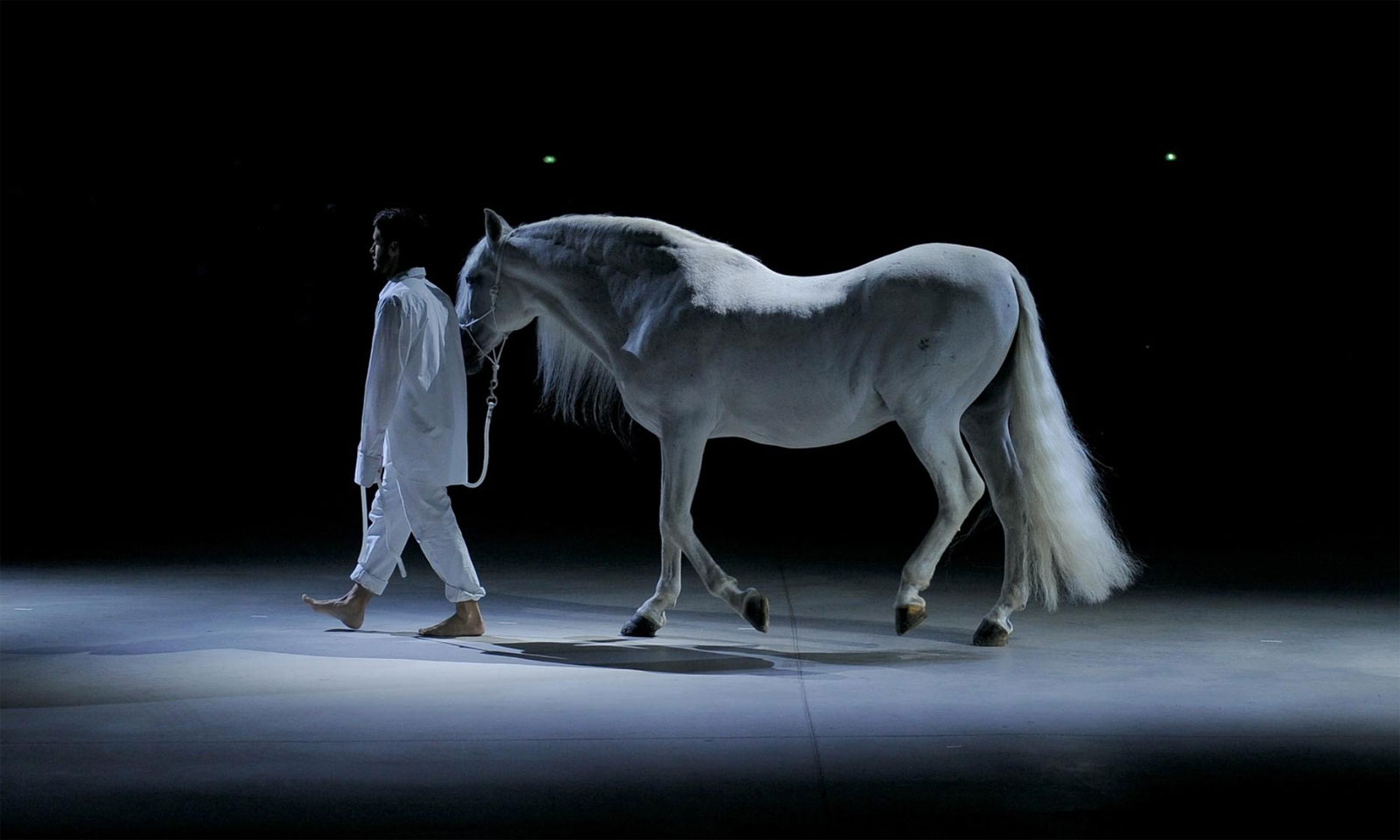 Mahendra Kumar Mishra's Odia Lokakathaa HAM-RAY-GHODA