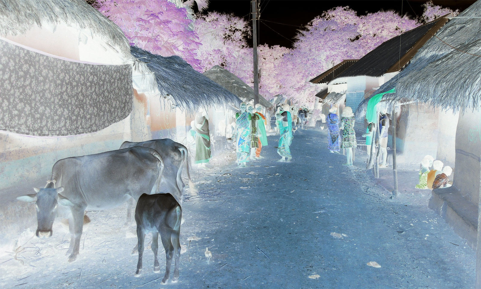 Niranjana Jena's Odia Poem EKA ASPASHTA NEGETIVERE GOLAKA PRADHANA EBN PRADHANA PADAA