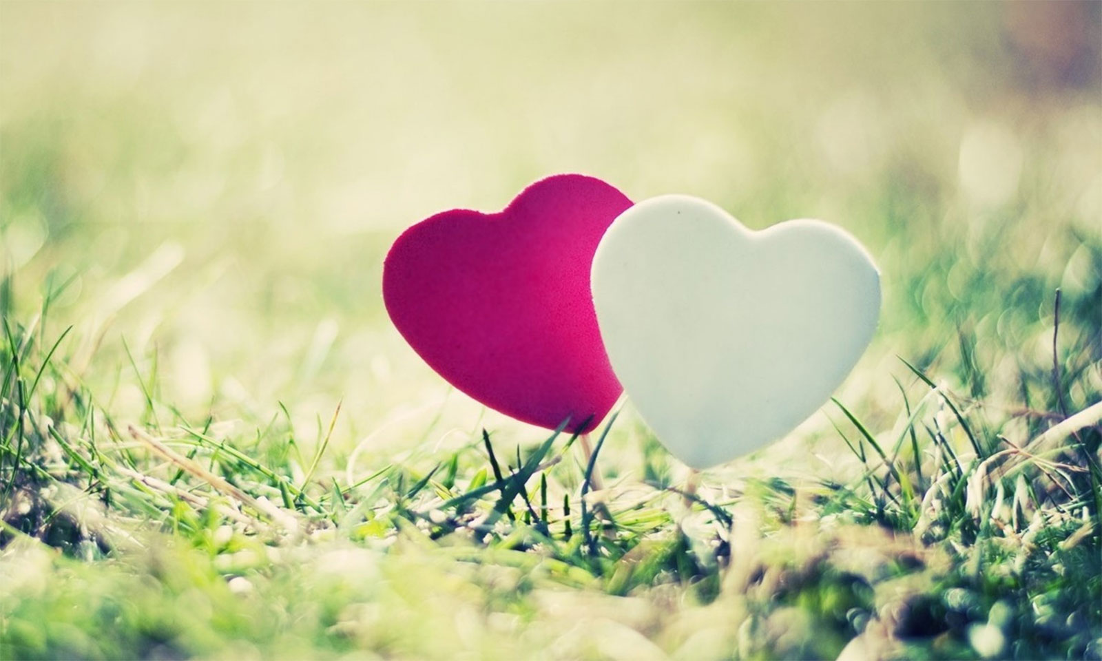 Annapurna Mohanty's Odia Poem NIHATI NIJARA