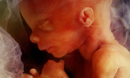 Shri Niranjana Padhi's Odia Prose ATITHIRA HATYAA