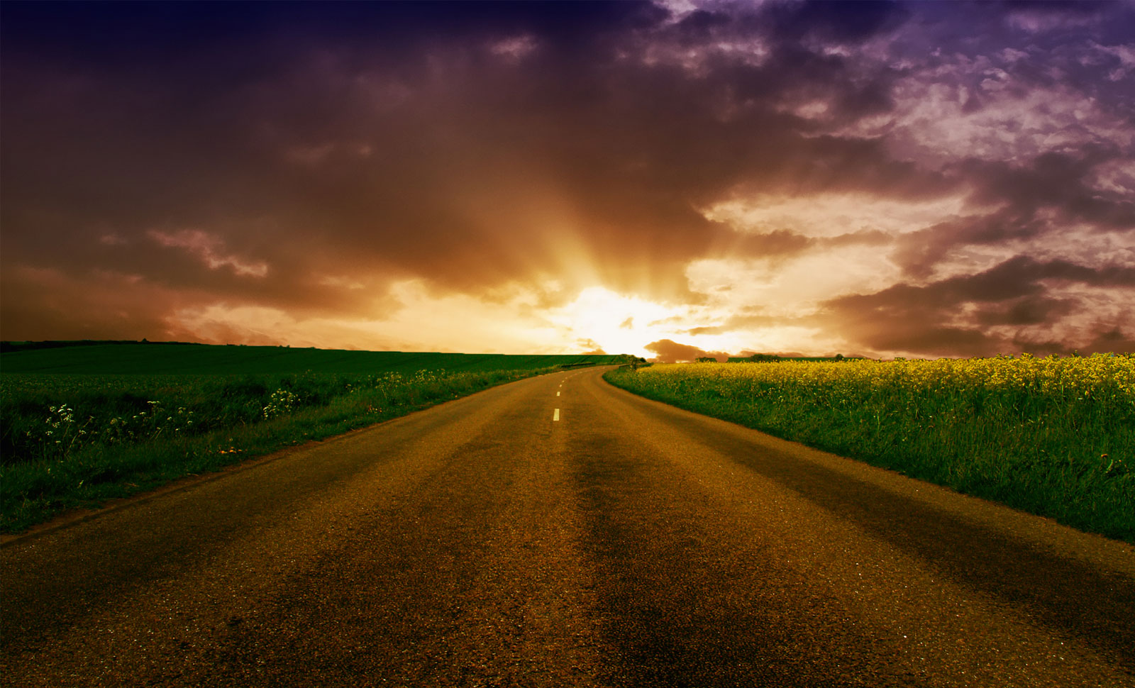 Annapurna Mohanty's Odia Poem JEMITI JAANICHA