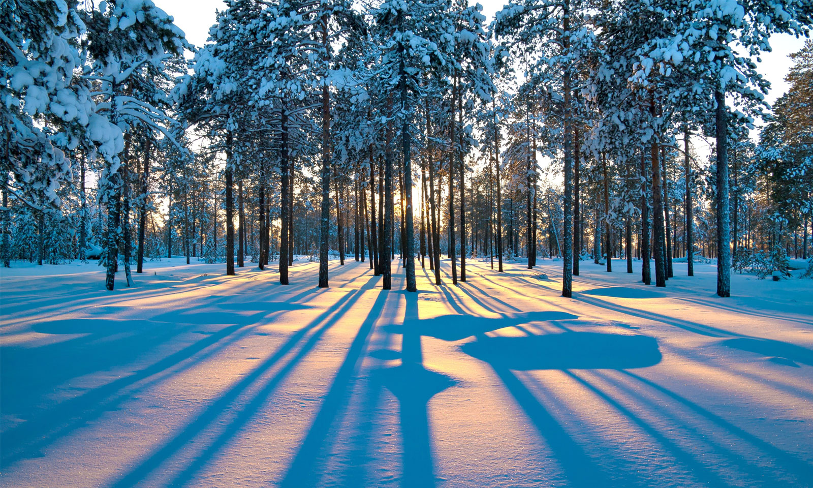Manjurani Mishra's Odia Poem SHEETARA GAJAL
