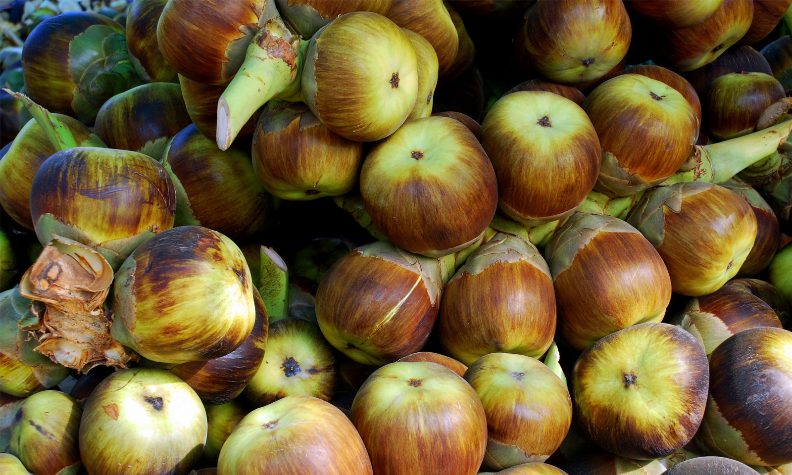 Madhabananda Panda's odia poem for children Uparu Khasila Gotie Taala