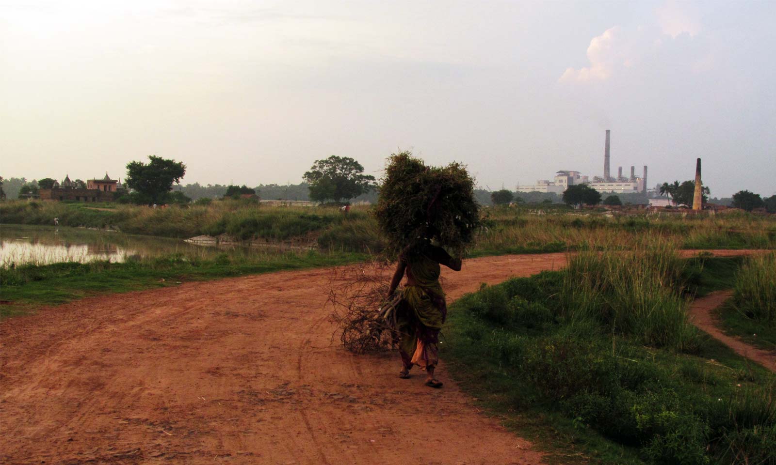 Nrushingha Tarai's odia poem Paribartana