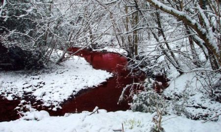 Madhaba Chandra Jena's odia poem Eka Nadira Kaahaani