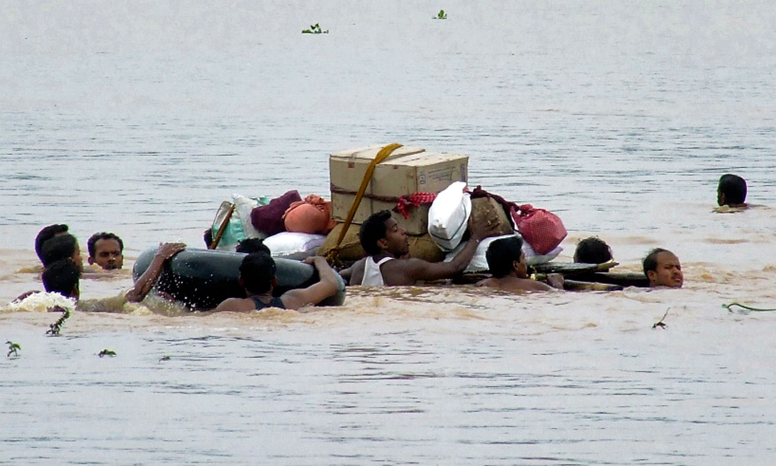 Munna Mohapatra's odia cognition abubhuti eka nirddaya raatrira