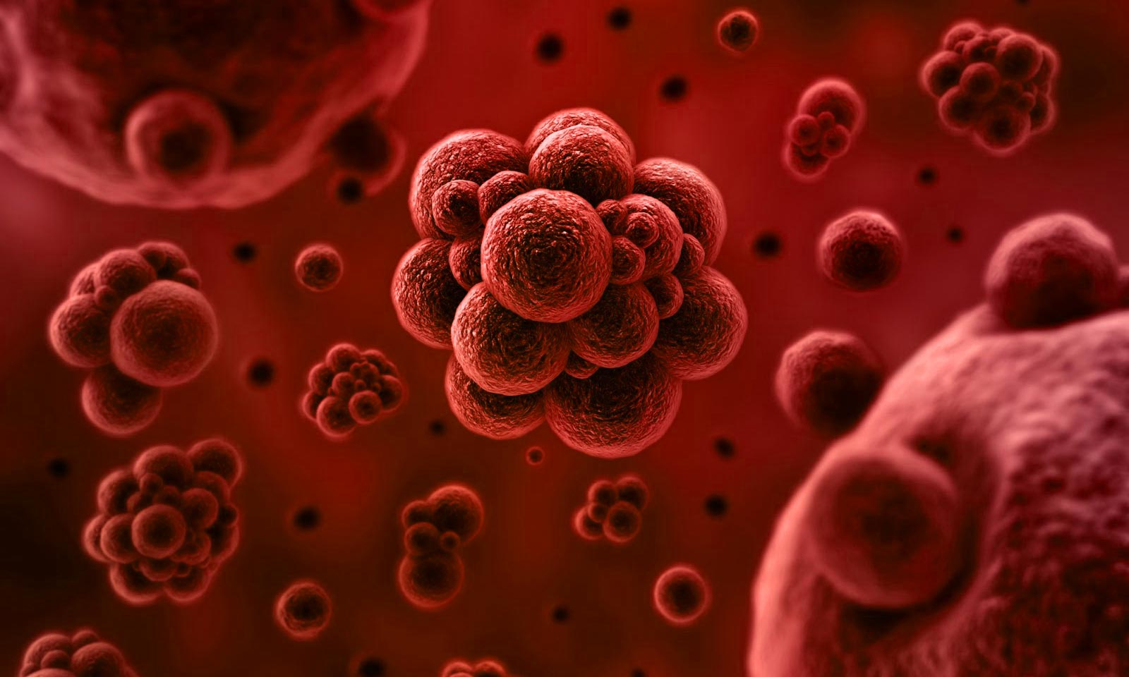 Dr Kalpana Mallick's odia poem Virus