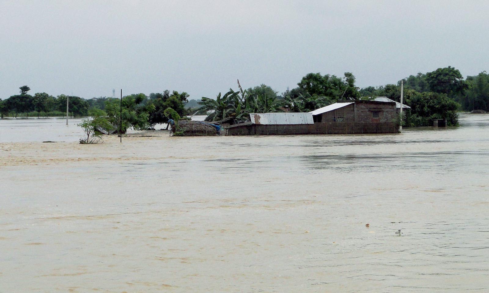 Niranjan Jena's odia poem Rachanaa Naibadhi
