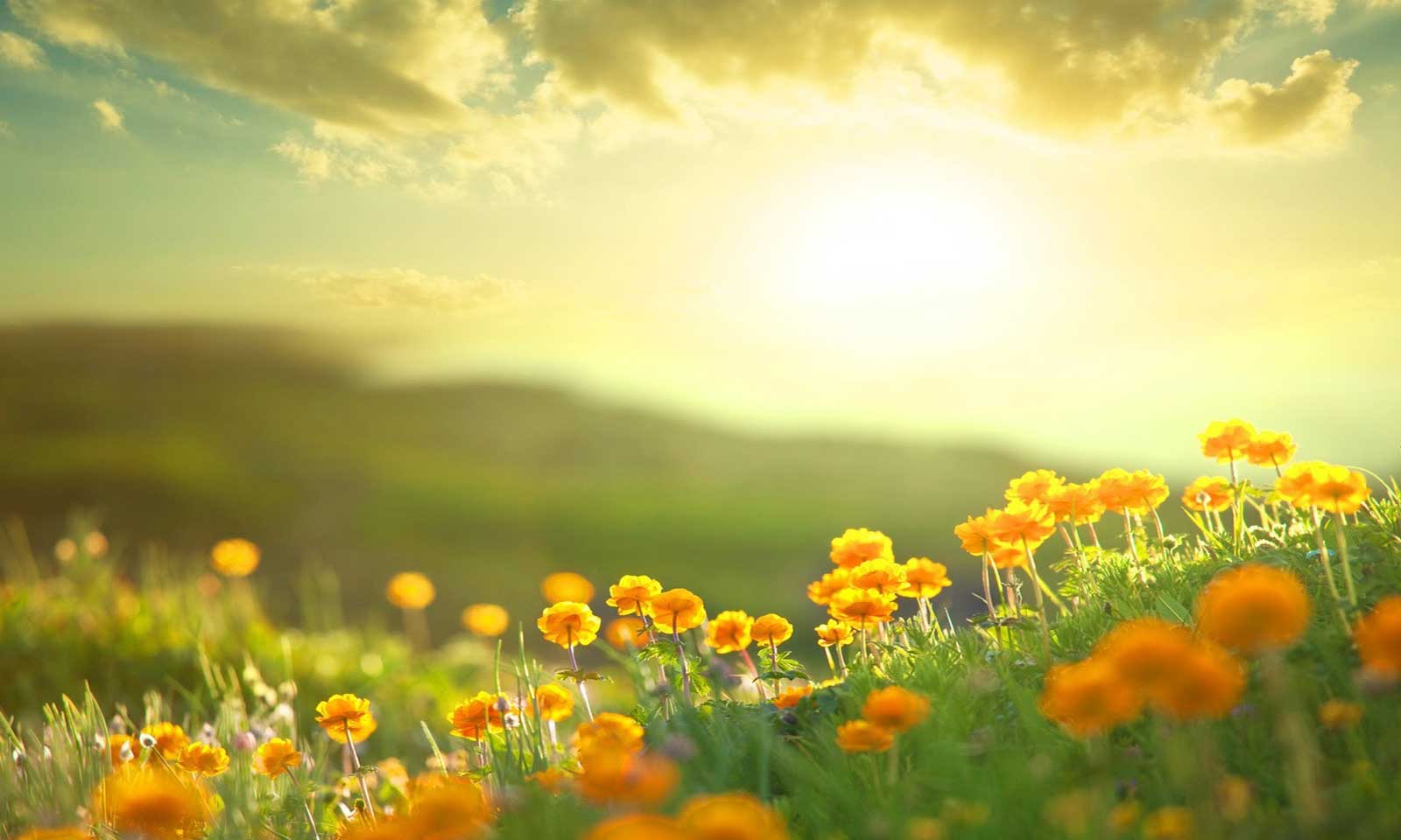 Ashutosh Meher's odia poem Prabhaata Geeti