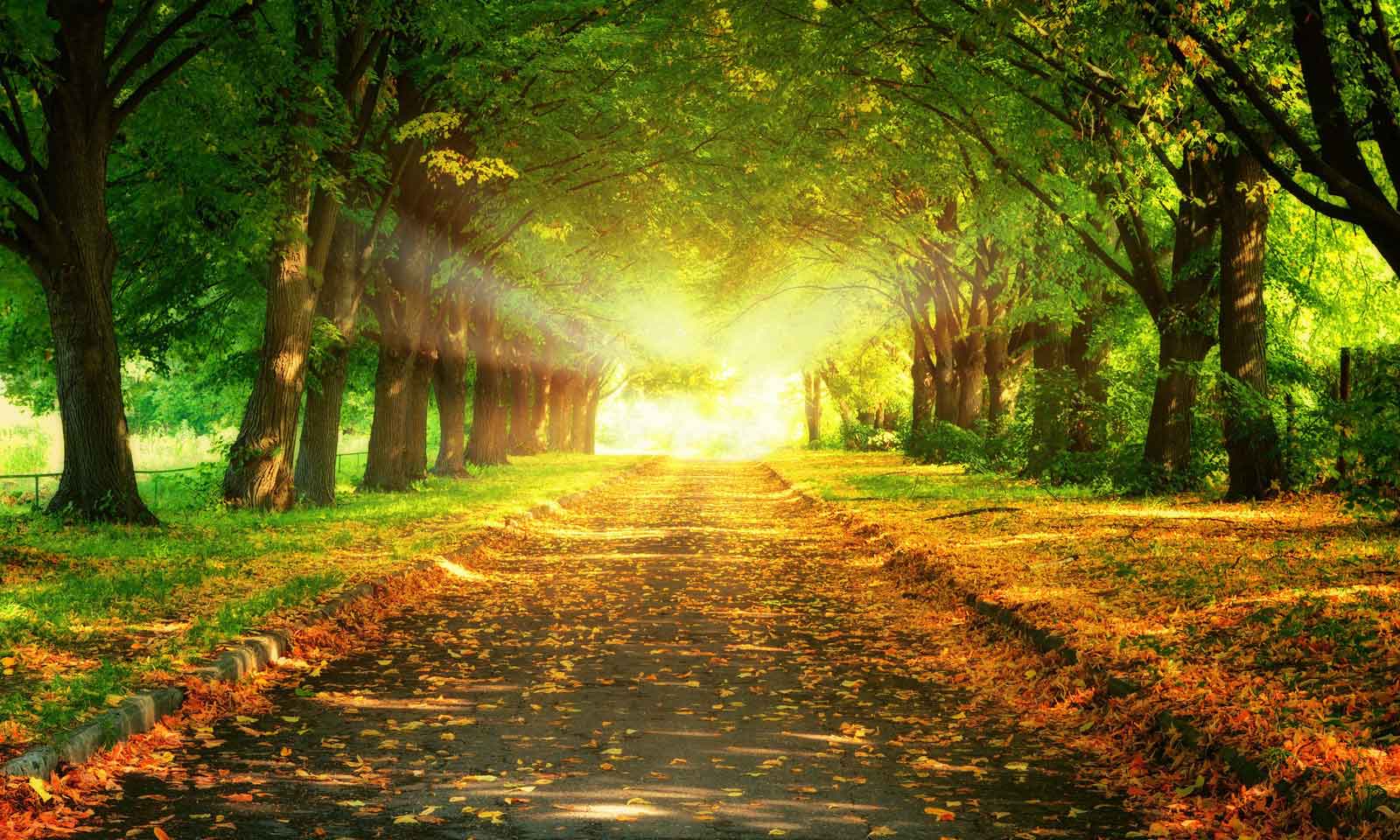 Sakaala Jignyaasa an odia poem by Harish Chandra Kar