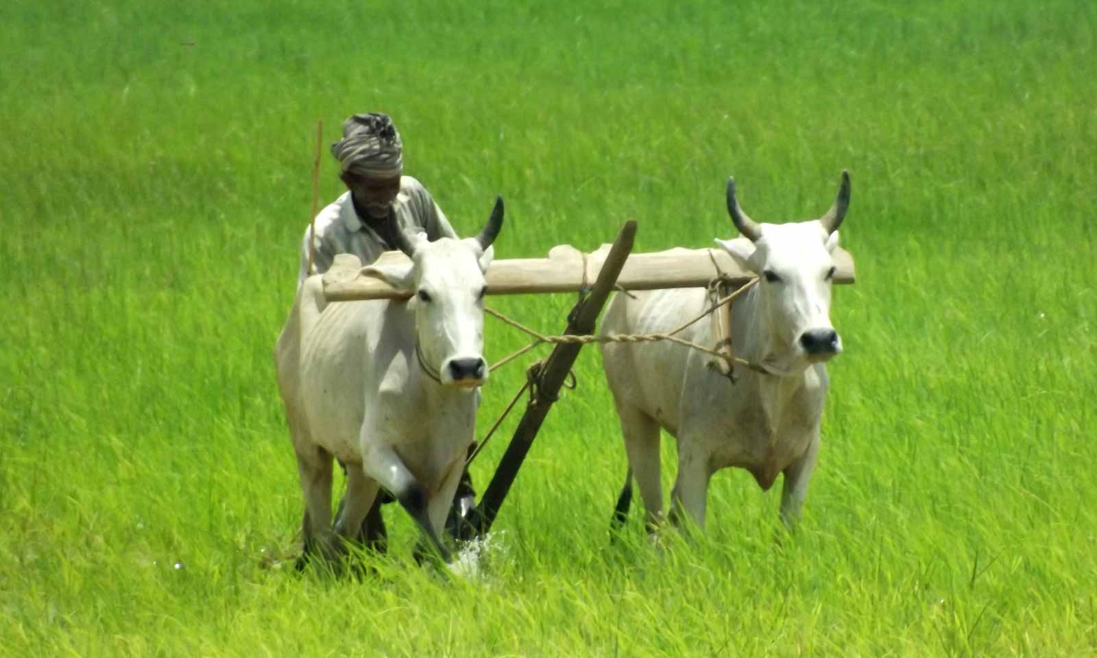 Laxmidhara Nayak's odia story Kichhi Gote Ghatibaara Muhurtta