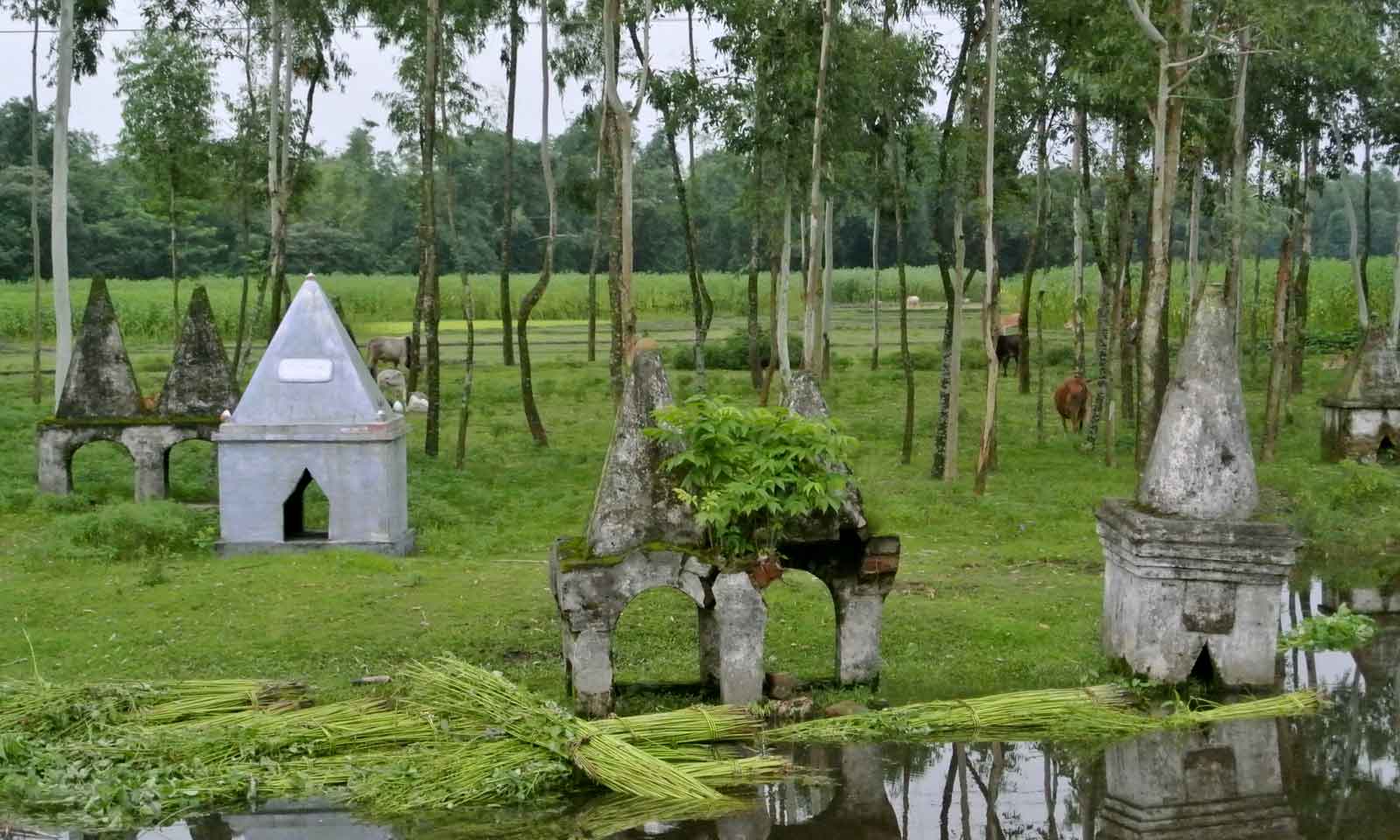 Madhab Chandra Jena's odia poem Mun Naahin Se Maati Tale