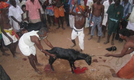 Subal Mohapatra's odia short story Bali O Nirbaachana