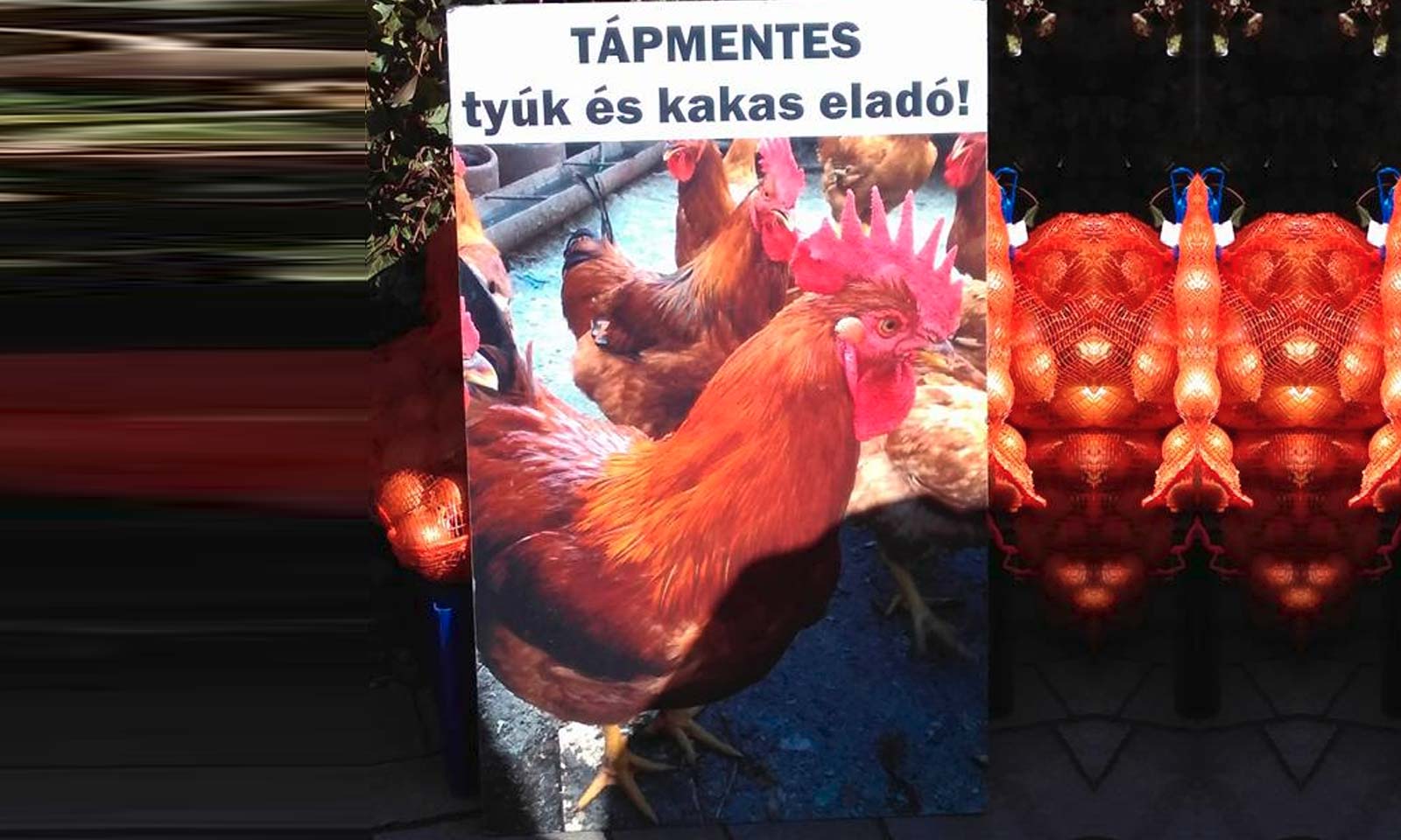 Biswajeebana Mishra's odia short story Cut Cut