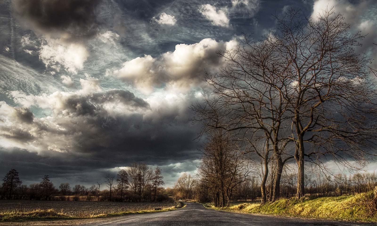 Binaya Mohapatra's odia poem Jeebanataa Swapna Nuhen