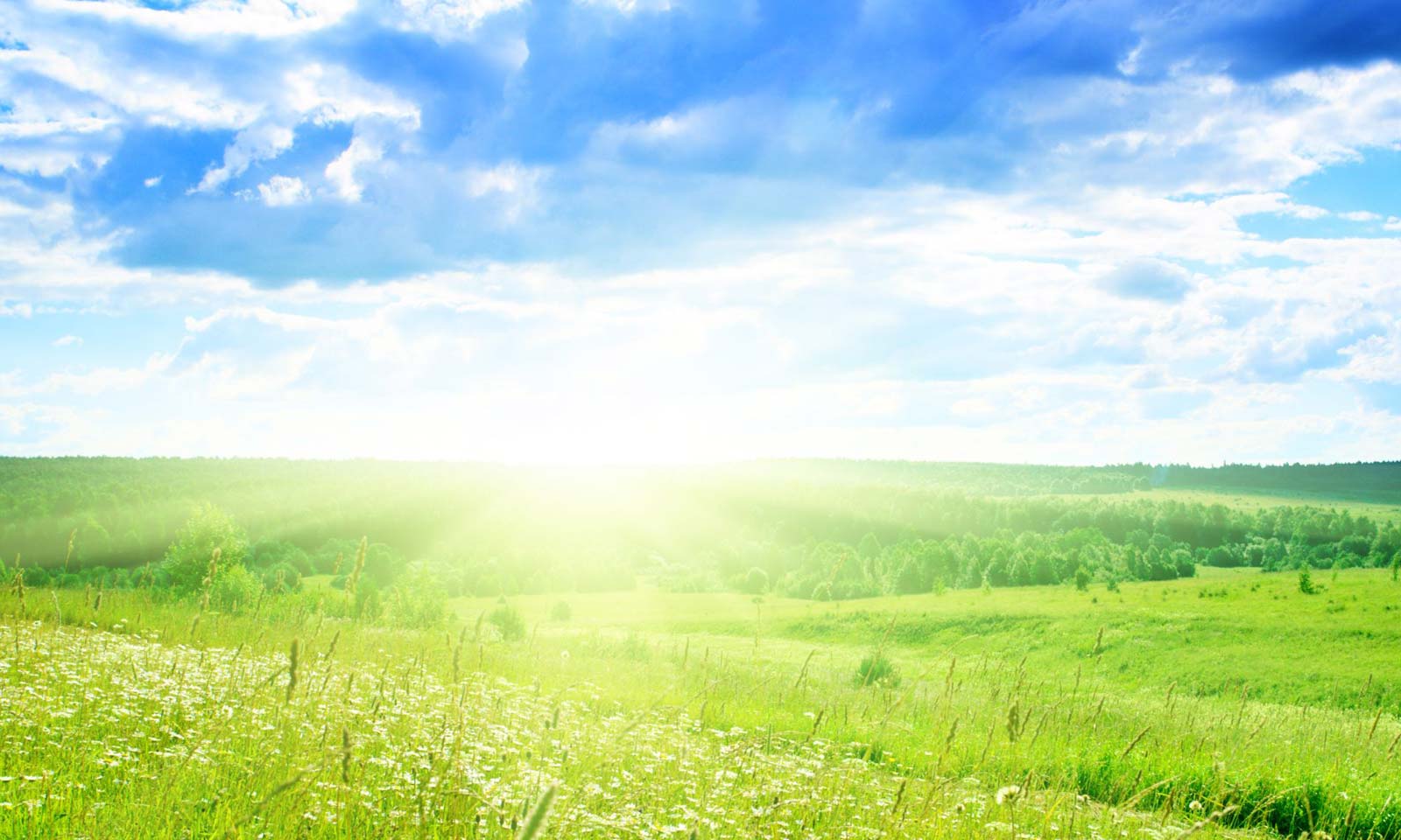 Ashutosh Meher's odia poem Prabhaata Geeti