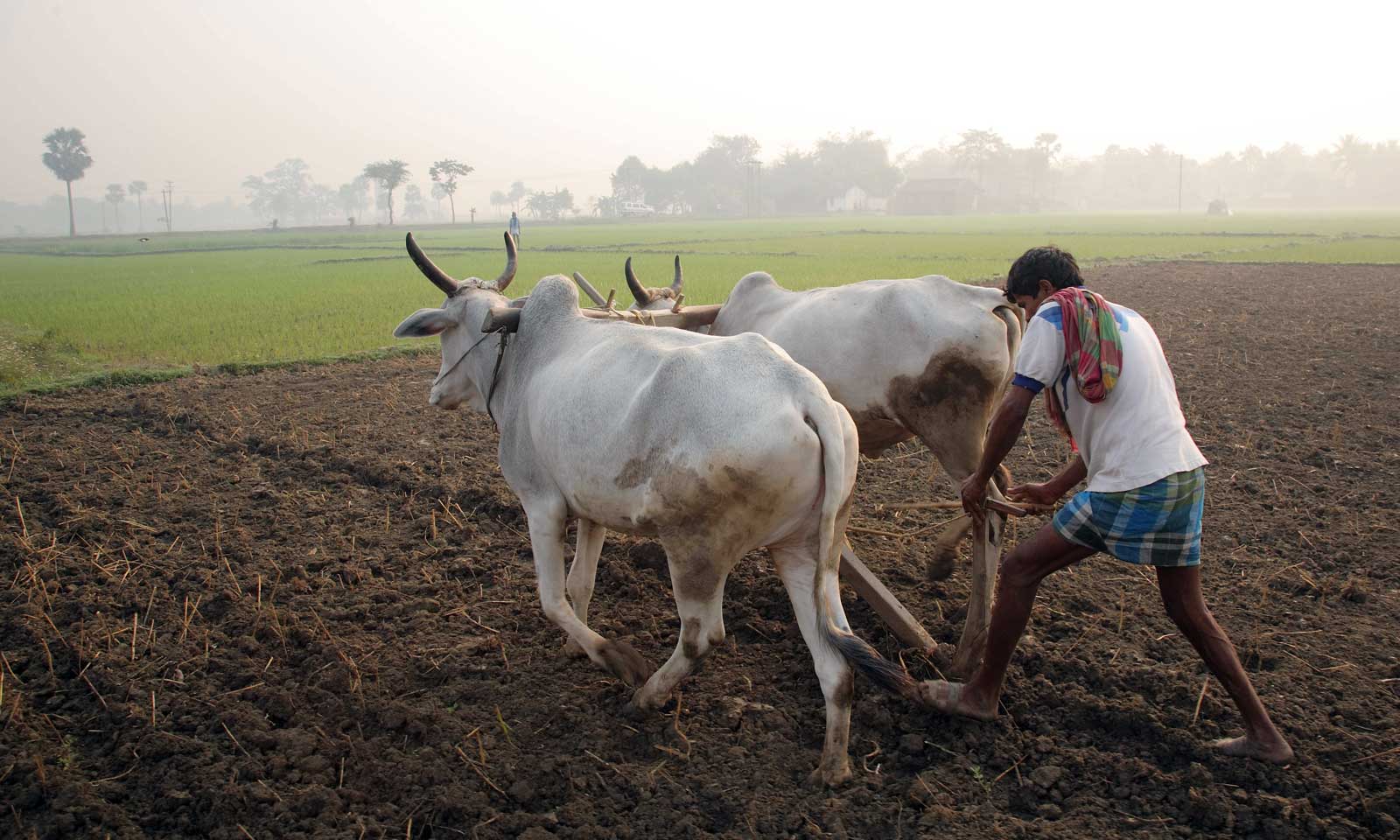 Dibakar Sahoo's odia poem Aahwaan