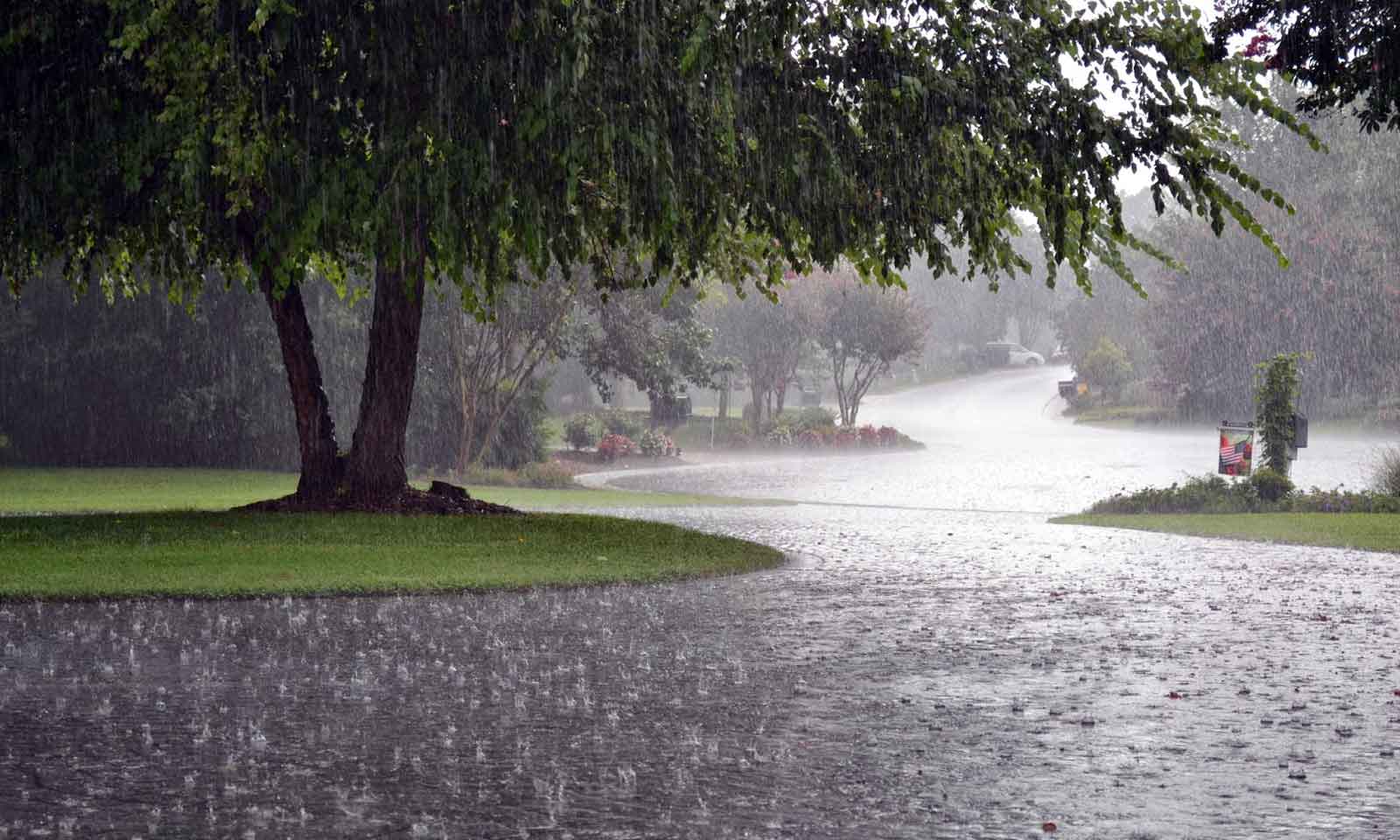 Monalisha Dash's odia poem Barshaa