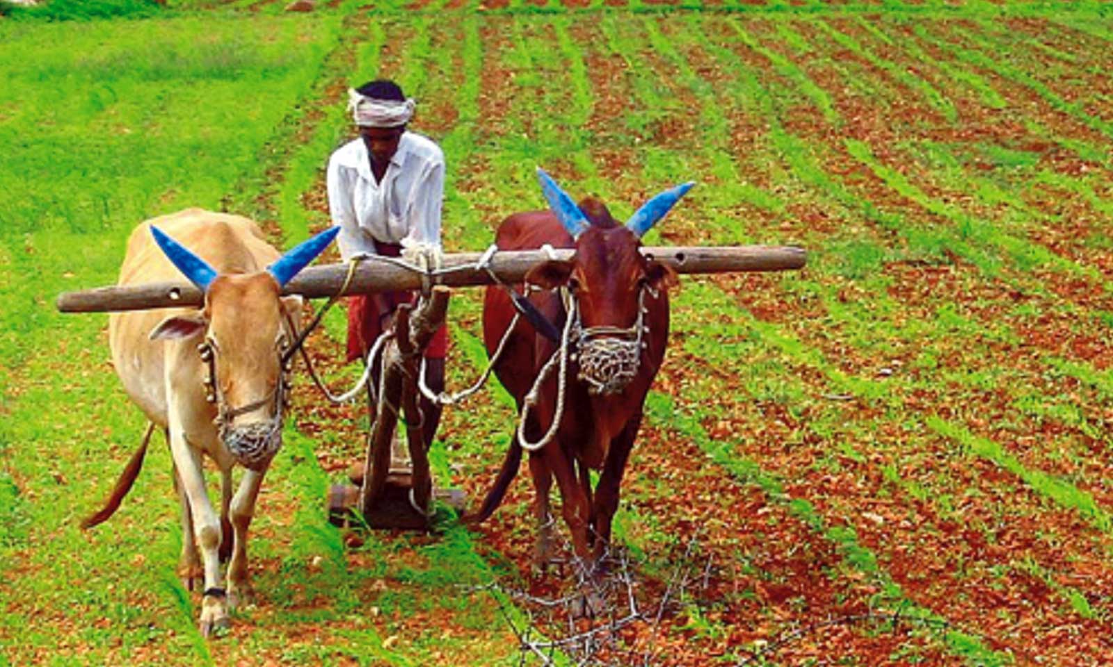 Er Bidyadhar Panda's odia poem Bhishma Pratignyaa