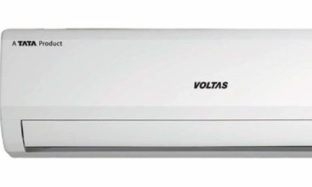 Biswajeebana Mishra's odia short story Chatura Chaturlinga