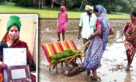 Manjulata Ratha's odia prose Naayikaara Naan Rukmini