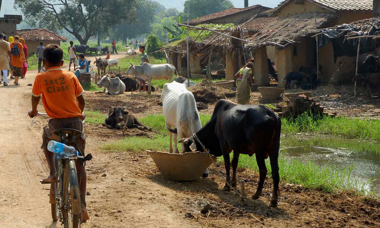 Dr Kalpana Mallick's odia poem Mo Gaan