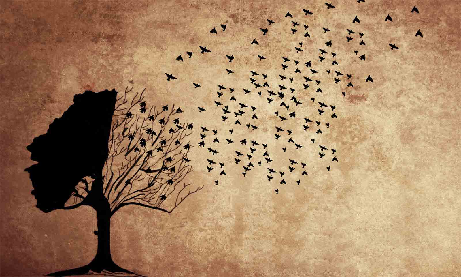 Nirupama Swain's odia poem Swapna Baastaba