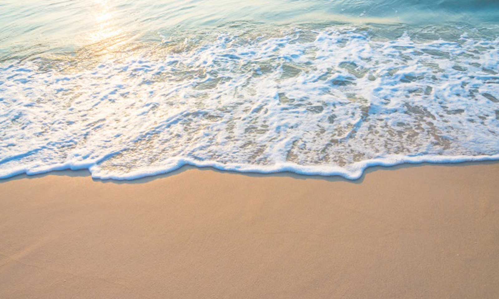 Dr Mousumi Parida's odia poem Biraag