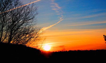 Binayak Mishra's odia poem Swagat Nua Barsha