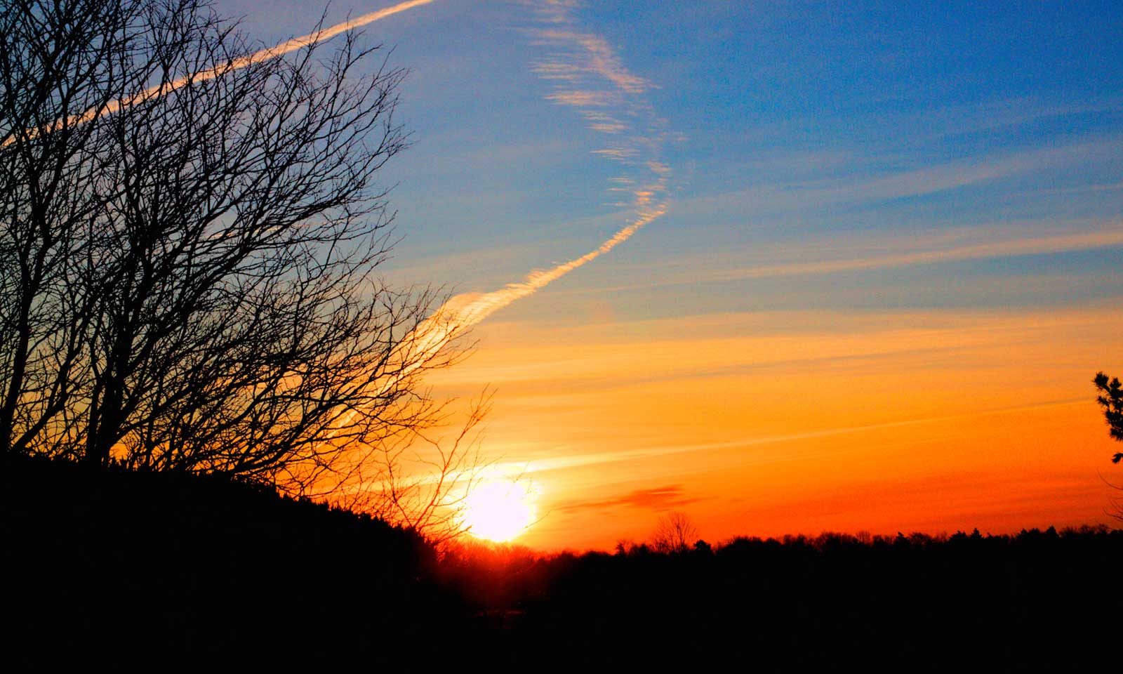 Binayak Mishra's odia poem Swagat Nua Barsha