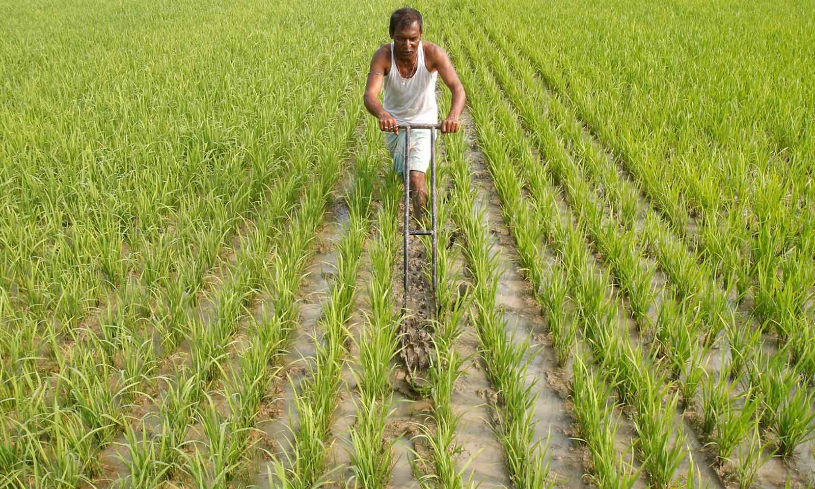 Dibakar Sahoo's odia poem Manuaa Lenkaa