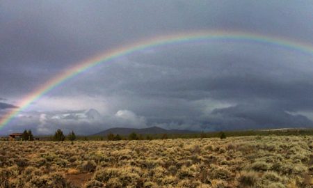 Manoj Das's odia story Indradhanura Raajapatha