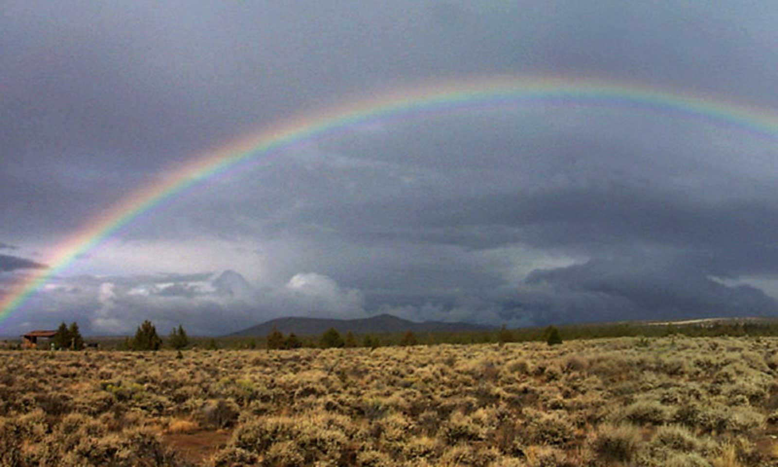 Manoj Das's odia story Indradhanura Raajapatha