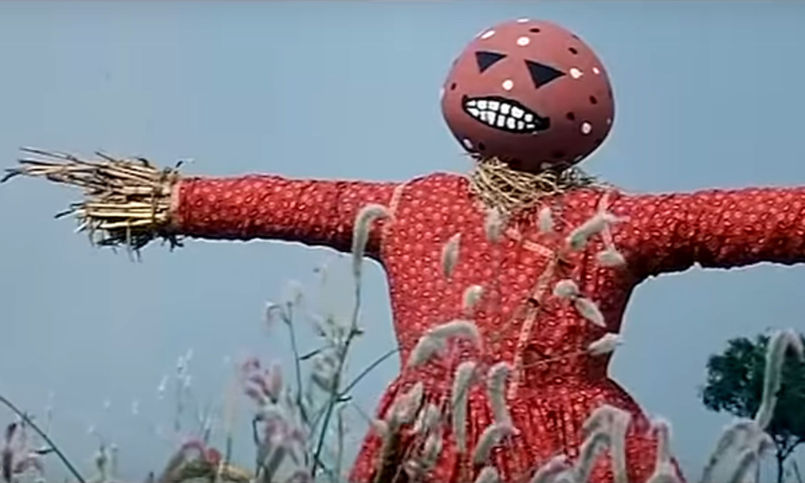 Deepak Baral's odia prose Paala Bhoota