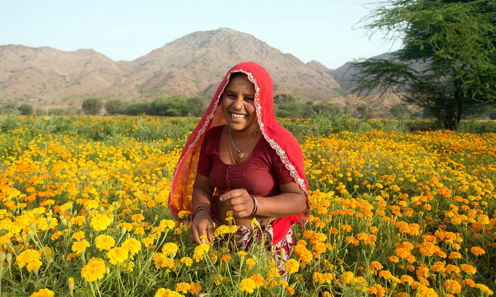Matrudatta Mohanty's odia story Duhkha Tolaa