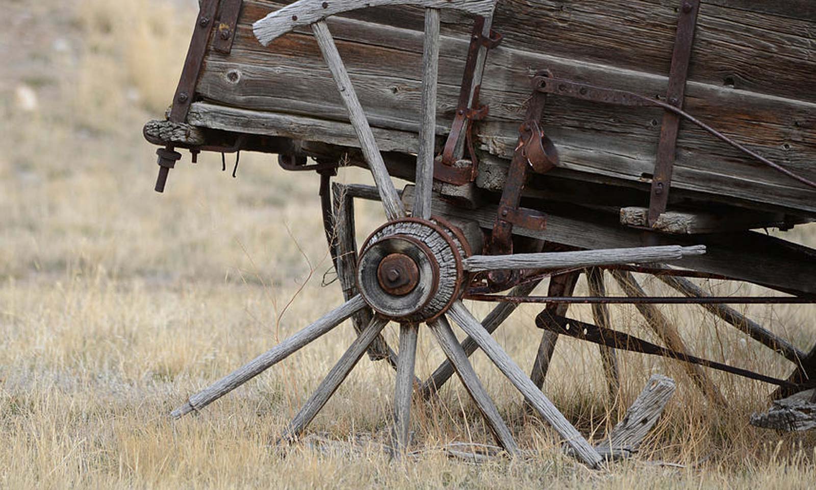 Dibakar Sahoo's odia poem Olati Padiba Chaka
