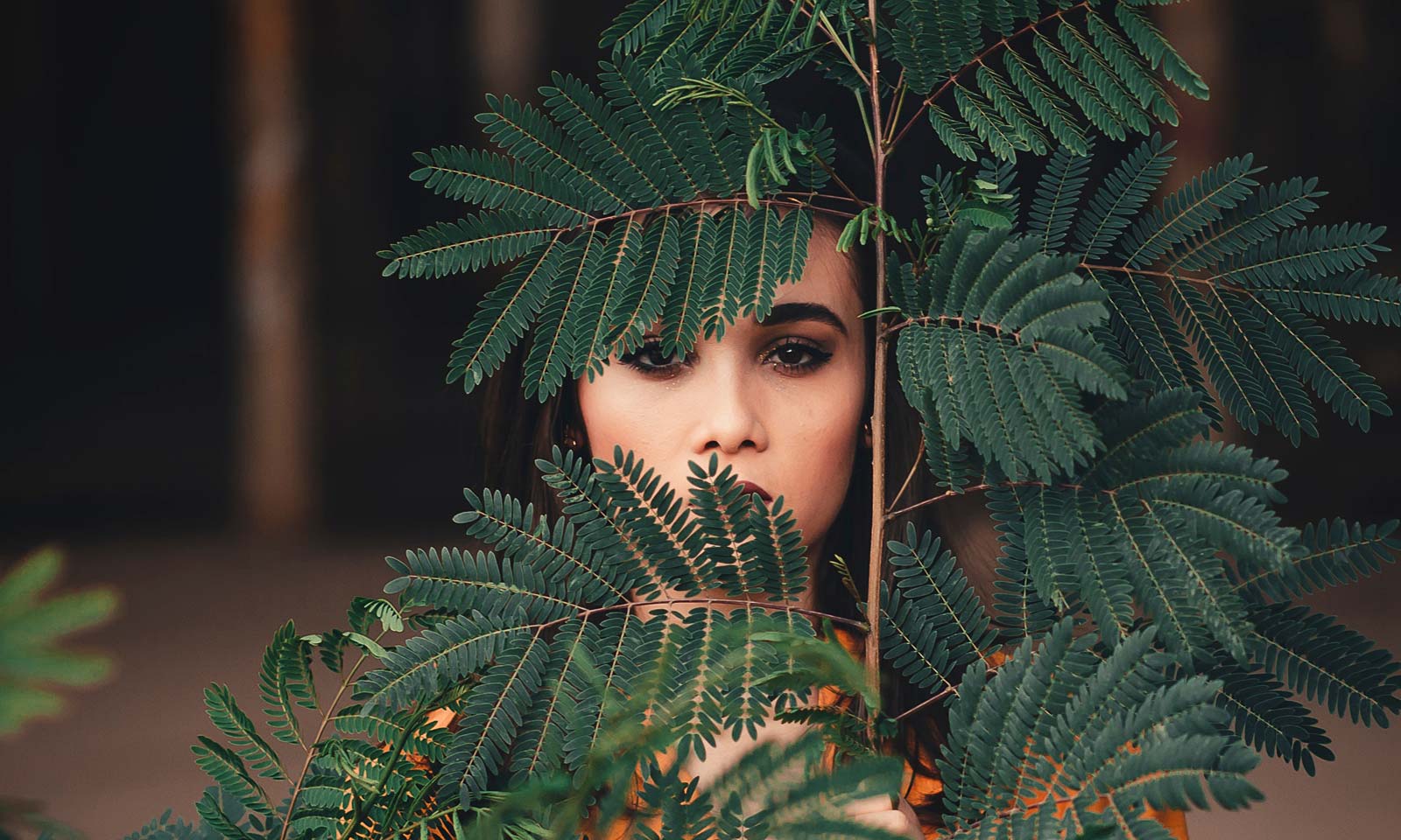 Lipin Rout's odia poem Smruti