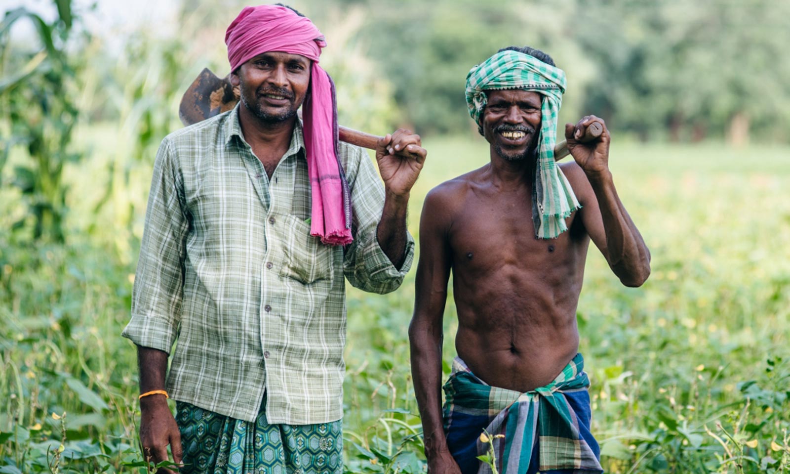 Dibakar Sahoo's odia poem Taankari Paade Pranati Dhaale