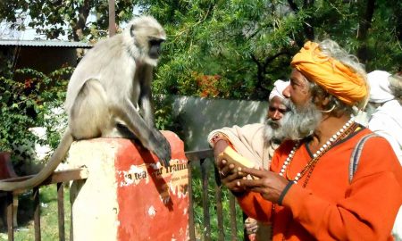 Manoj Das's odia story Baanara Kumbhira Kaahaani : Sheshakathaa