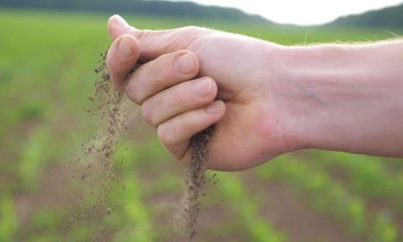 Madhab Chandra Jena's odia poem Muthae Maati Paain