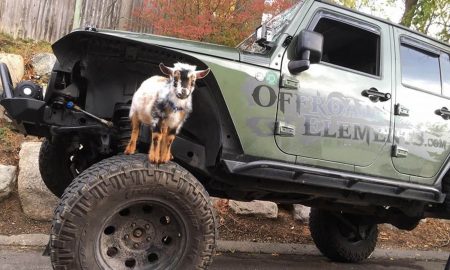 Sidhartha Dash's odia story Gotie Guest House Ra Kaahaani