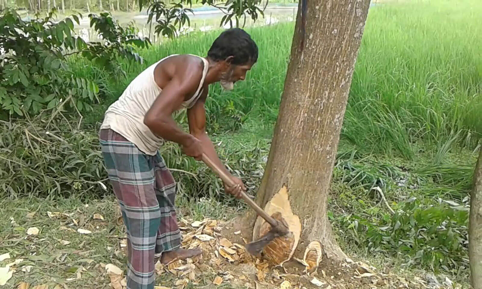 Surendra Kumar Behera's odia poem Haana Kuraadhi