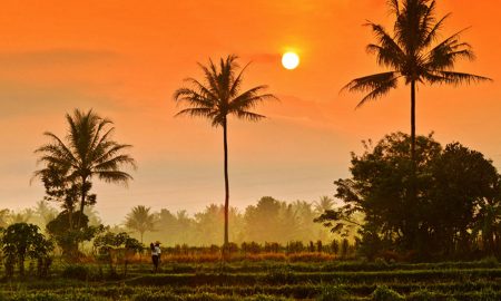 Chittaranjan Barik's odia poem Palli Prabhat