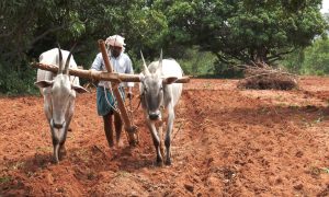Gupteshwar Nanda's odia poem Akshaya Trutiya