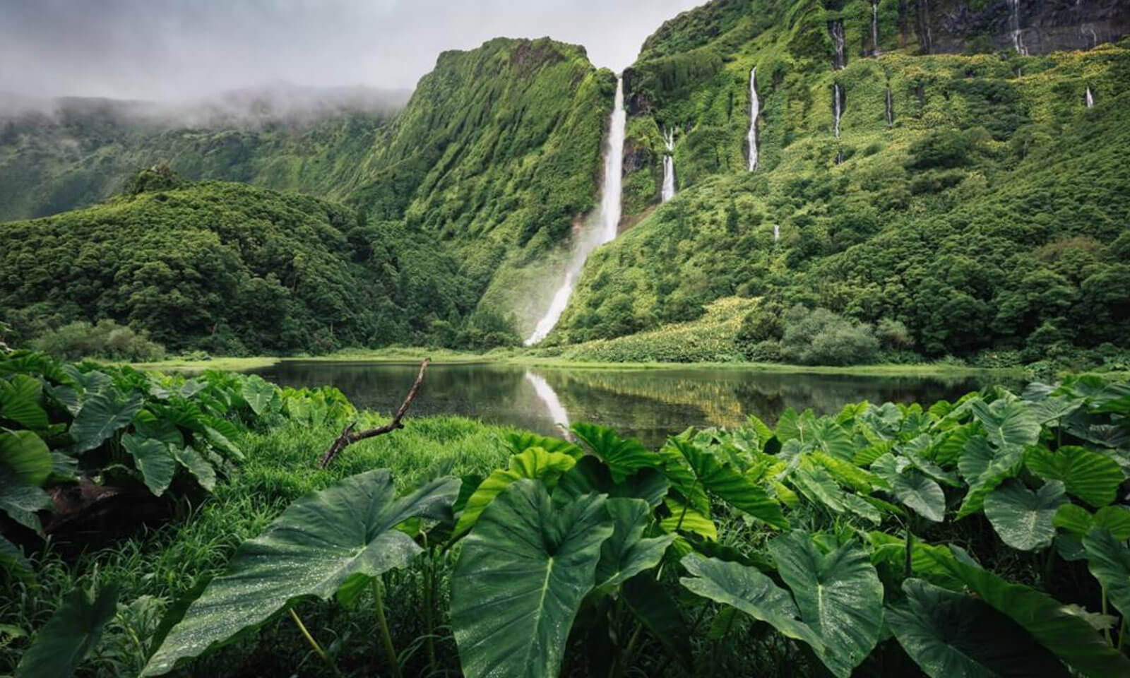 Puspanjali Patel's odia poem Sabu dina duniaan laagu nooaan nooaan