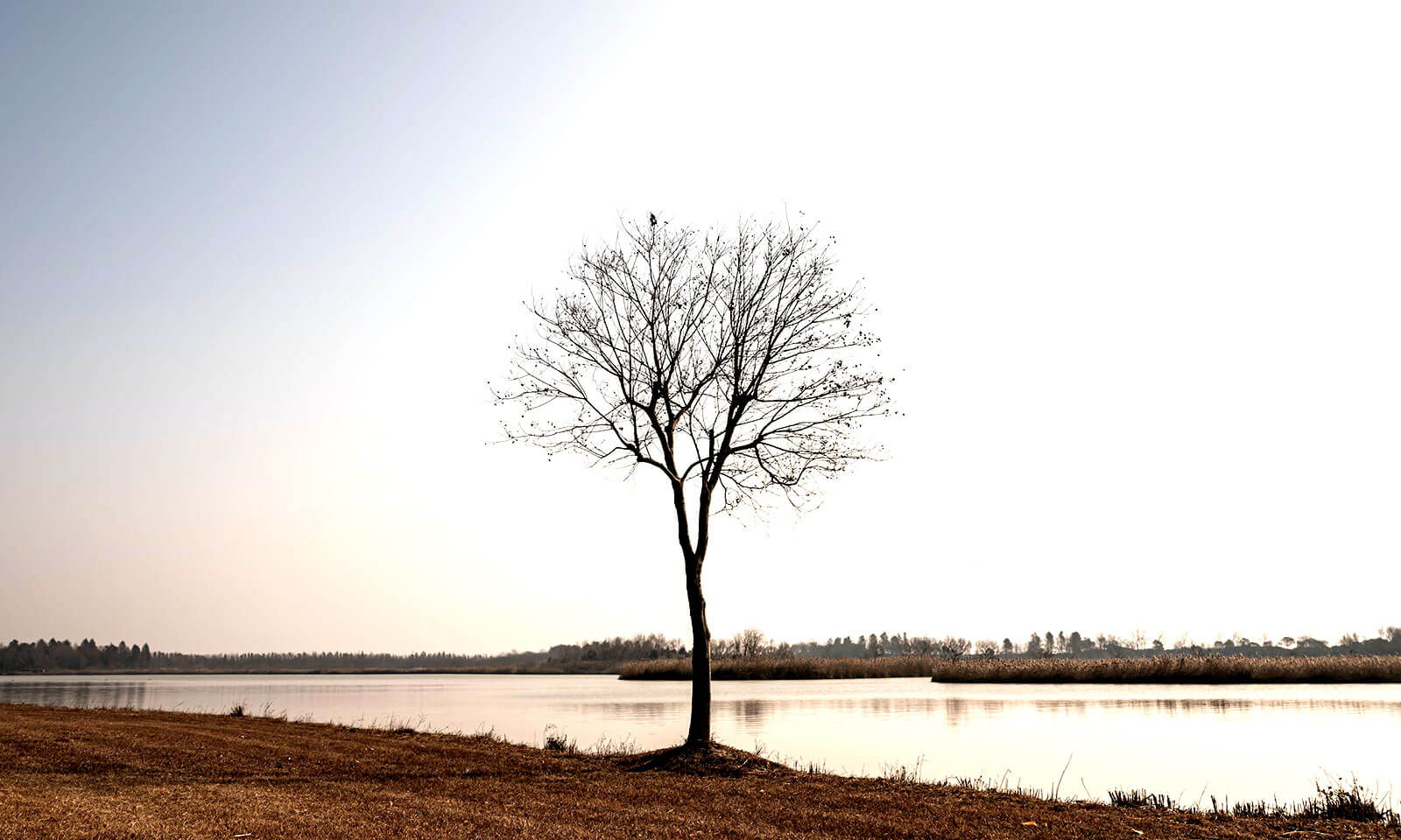 Deepankar Jena's odia poem Abaahana