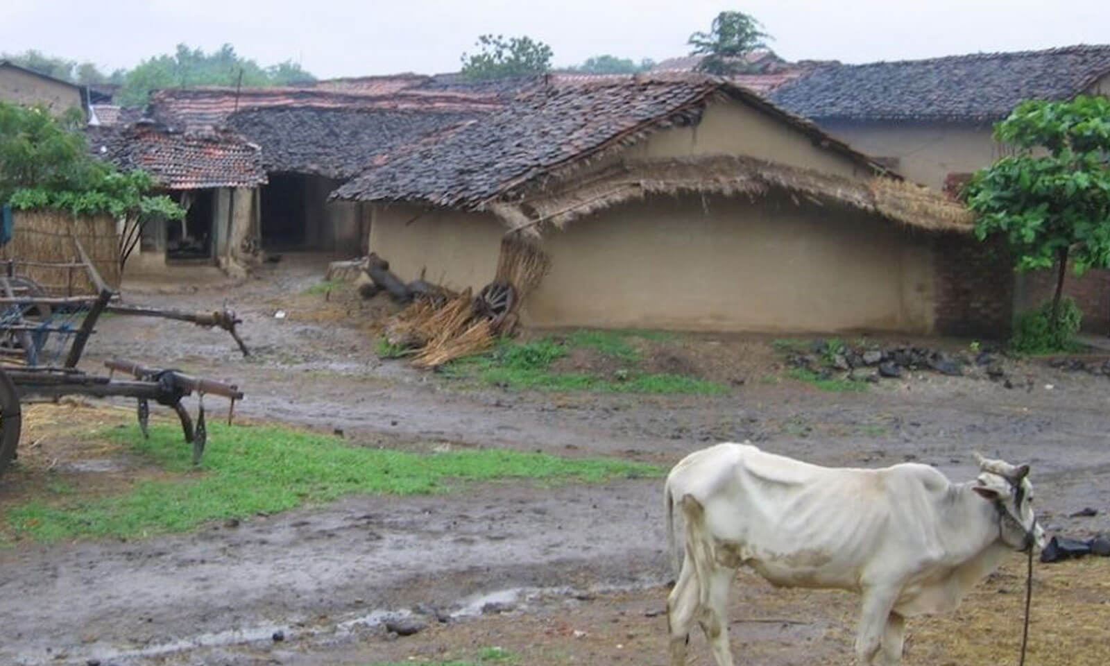 Brundabana Das's odia poem Abakshya