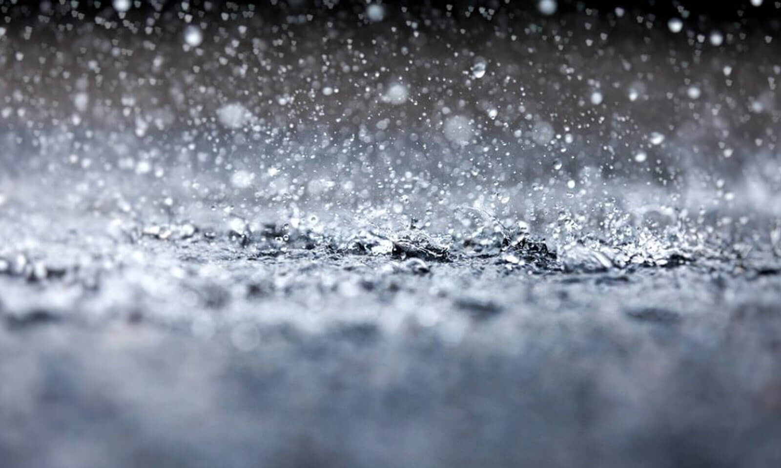 Priyanka Prusty's odia poem Barshaa