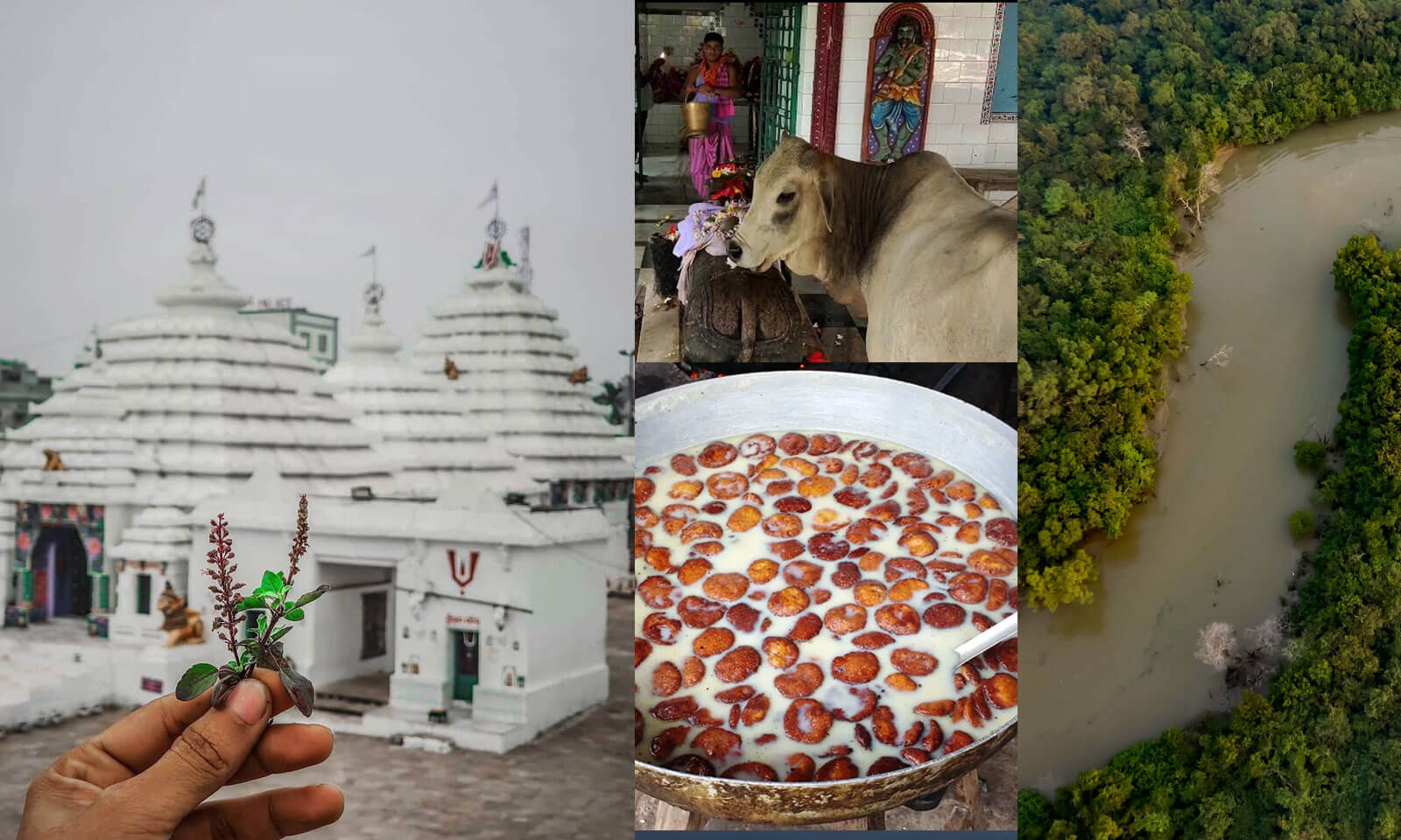 Priyanka Priyadarshini Swain's odia poem Ea Sei Kendrapada