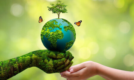 Shri Nihar Ranjan Sabat's Odia Prose Paribesha Surakshaara Mahattwa